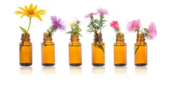 Examens: gérer le stress grâce aux fleurs de Bach