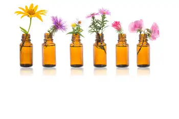 Examens: gérer le stress grâce aux fleurs de Bach