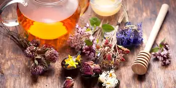 Les plantes au secours du sommeil